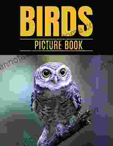 Birds Picture : A Gift Idea With Adorable Full Color Photo For Seniors Or Alzheimer S Patients With Dementia Picture For Bird Lovers