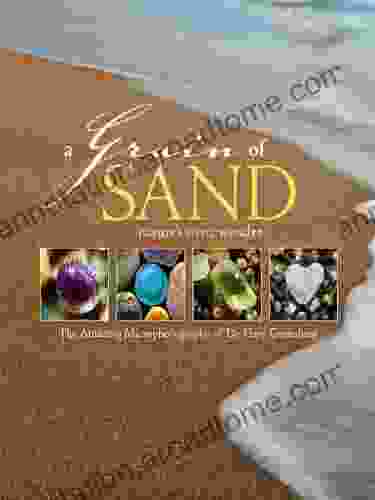 A Grain Of Sand: Nature S Secret Wonder