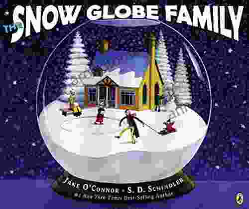 The Snow Globe Family Jane O Connor