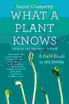 What A Plant Knows: A Field Guide To The Senses: Updated And Expanded Edition