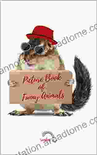 Picture Of Funny Animals: Colorful For Alzheimer S Patients And Seniors With Dementia (Picture Books)