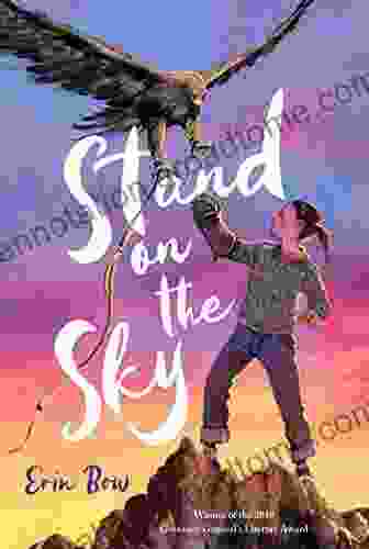 Stand On The Sky Erin Bow