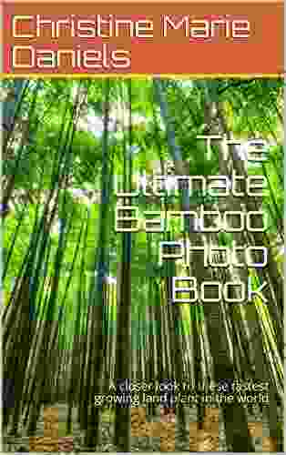 The Ultimate Bamboo Photo Book: A closer look to these fastest growing land plant in the world