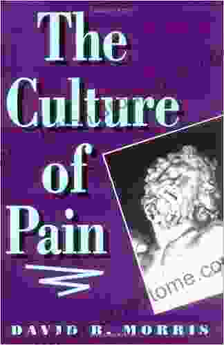 The Culture Of Pain David B Morris