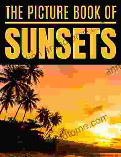 The Picture Of Sunstes: Beautiful Photography For Seniors And Alzheimer S Patients With Dementia Or Children A Perfect Gift Idea For The Real Fans Of Sunset Amazing Full Color Photo