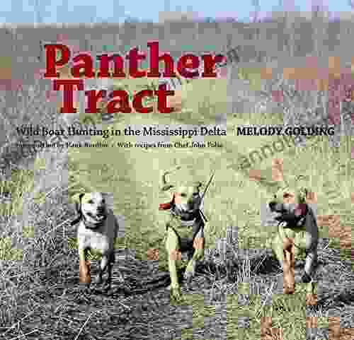 Panther Tract: Wild Boar Hunting In The Mississippi Delta