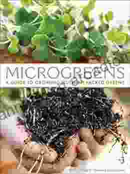 Microgreens: A Guide to Growing Nutrient Packed Greens