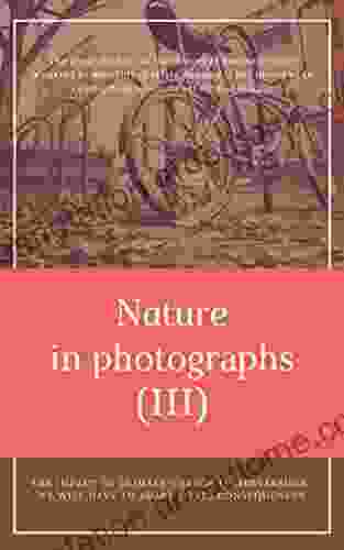 Nature in photographs (III) Lisa C Ruchti